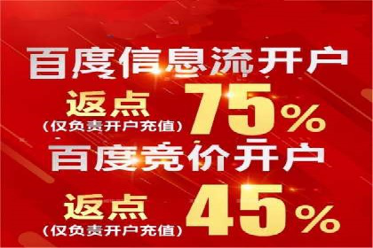 SEM广告投放案例：揭秘高转化率秘诀